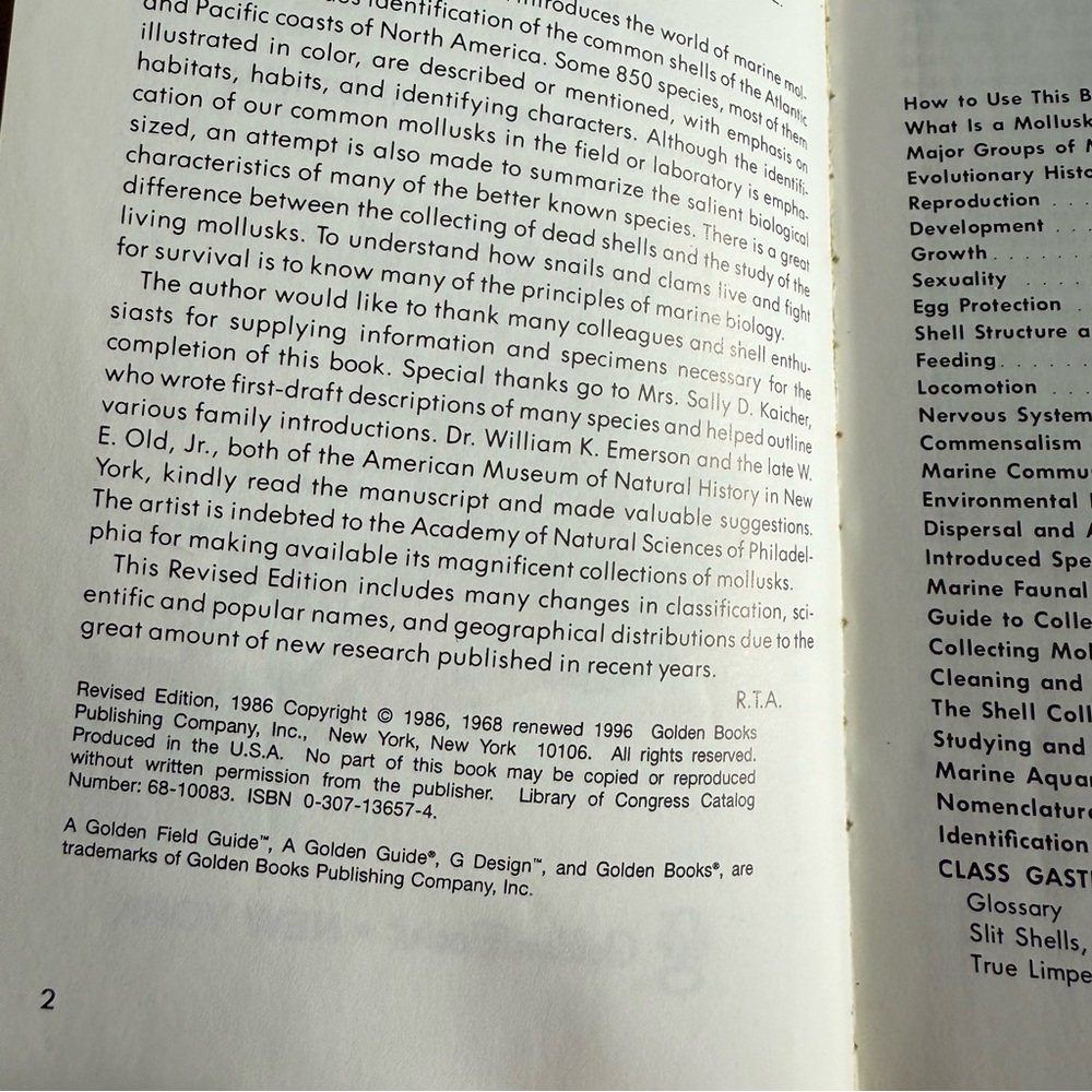 Seashells of North America A Guide to Field Identification - Picture 4 of 11